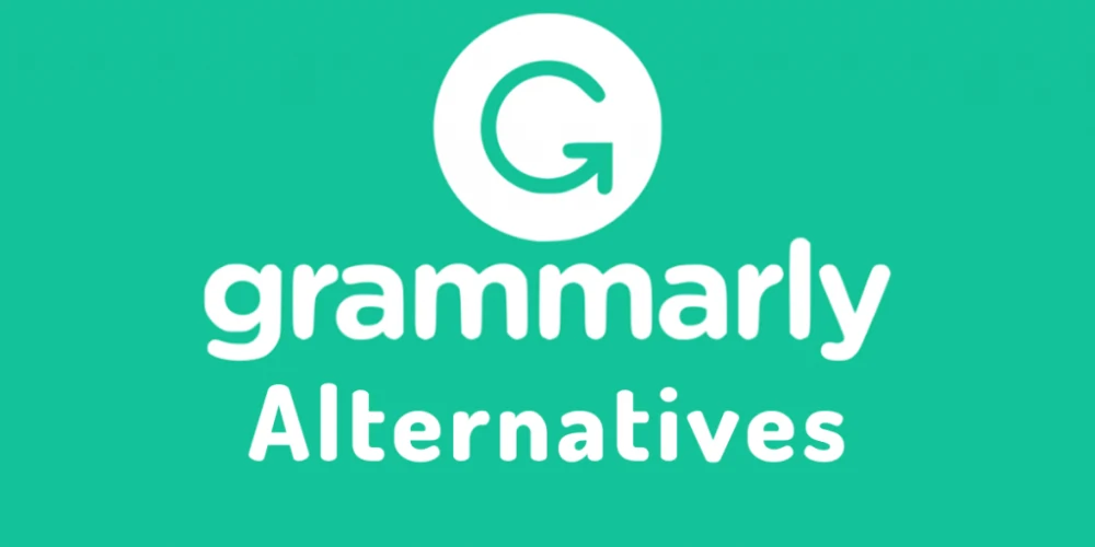 Why Look for Grammarly Alternatives